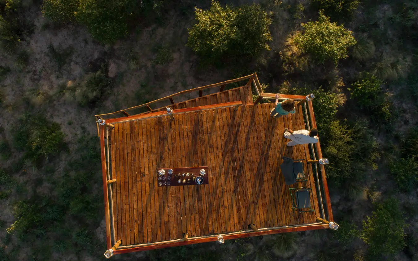 Wooden deck platform surrounded by dense forest canopy, Dinaka, Central Kalahari, Botswana