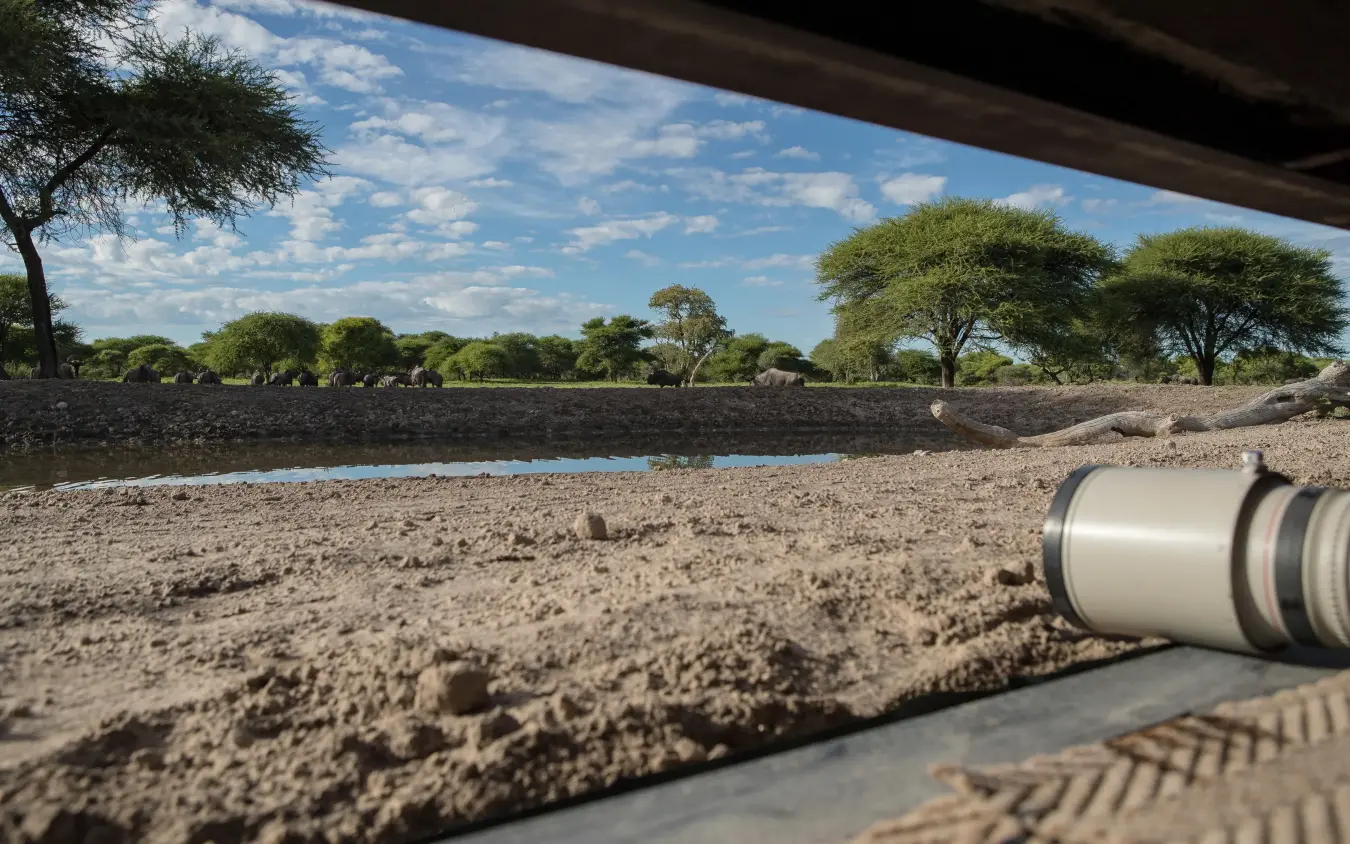 Binoculars resting on vehicle overlooking waterhole, Dinaka, Central Kalahari, Botswana
