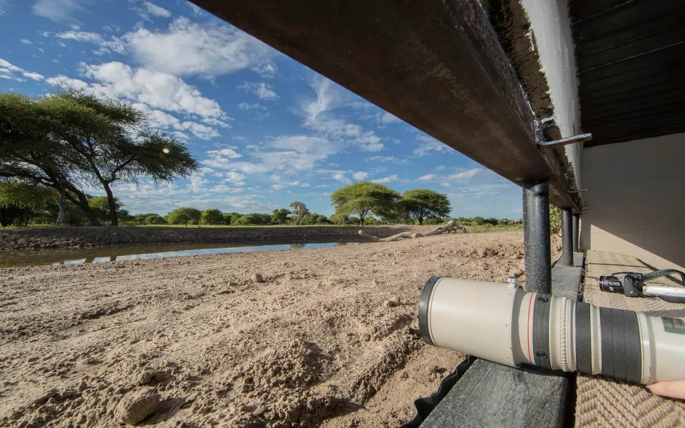 Safari vehicle with telephoto lens overlooking waterhole and trees, Dinaka, Central Kalahari, Botswana