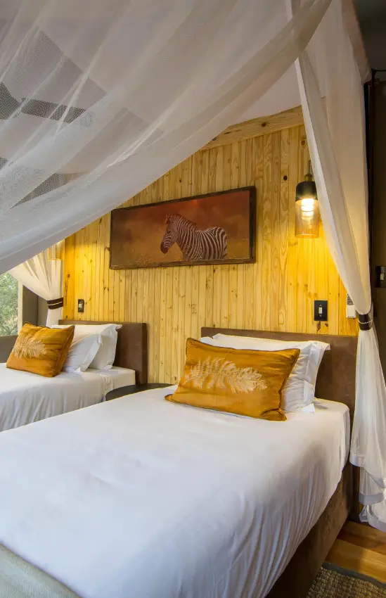 Twin beds with white linens and sheer canopy drapes, Dinaka, Central Kalahari, Botswana