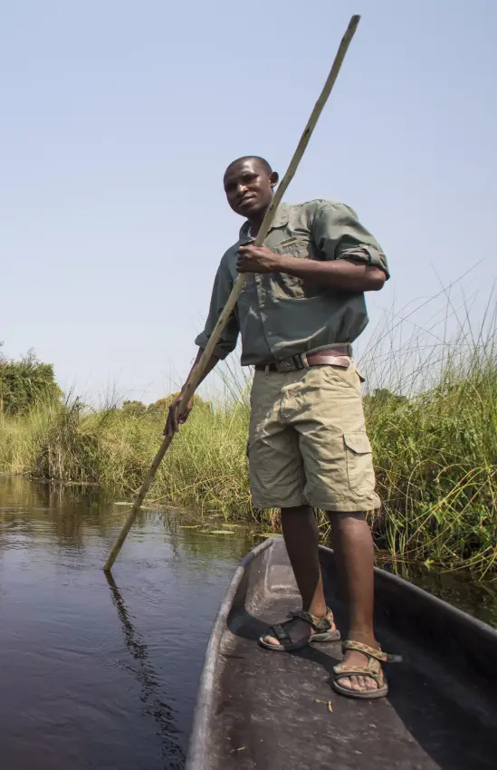Guide poling traditional boat through wetland waterway, Duba Explorers Camp, The Okavango Delta, Botswana