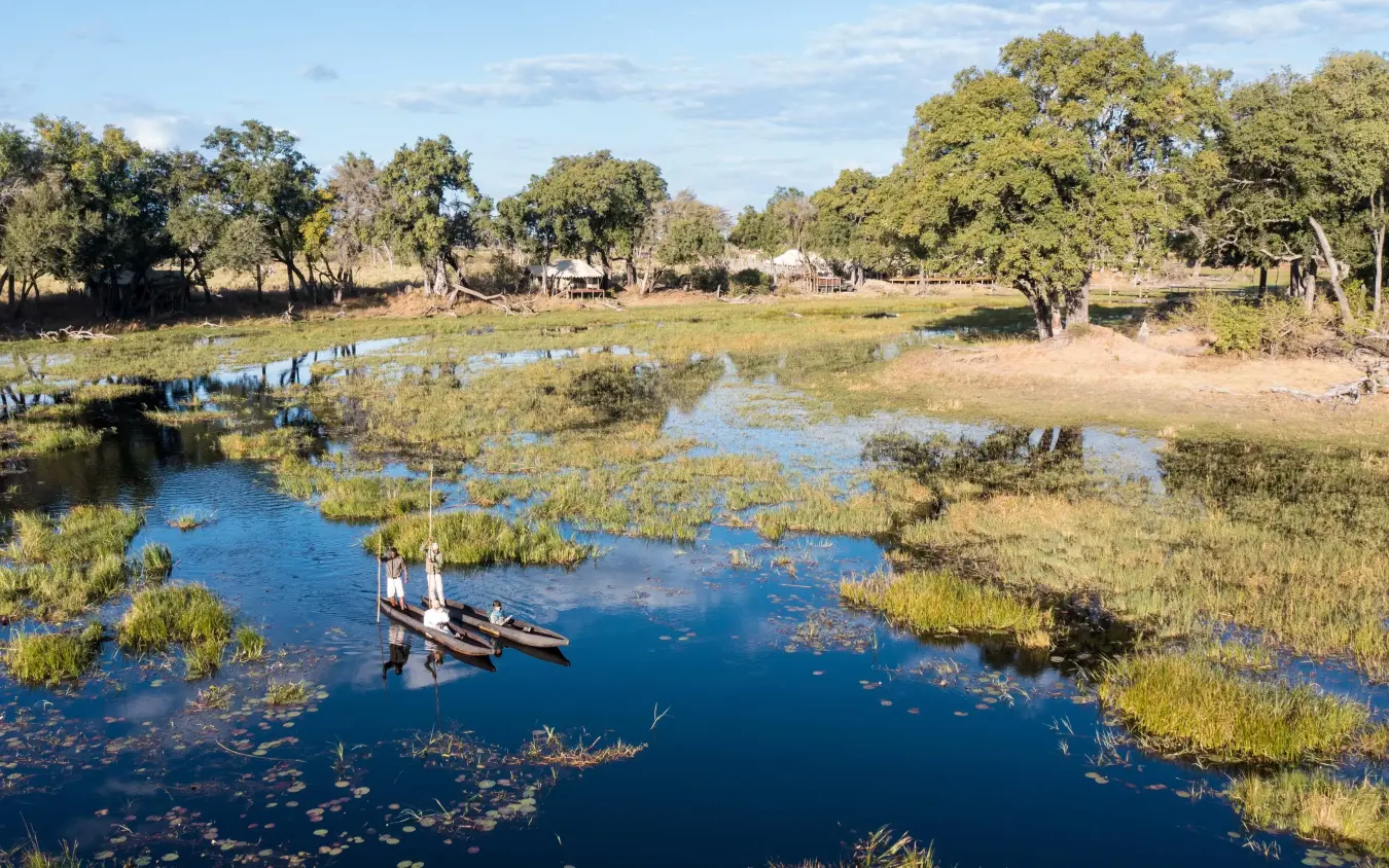 Traditional boats moored in waterway with vegetation and trees, Duba Explorers Camp, The Okavango Delta, Botswana