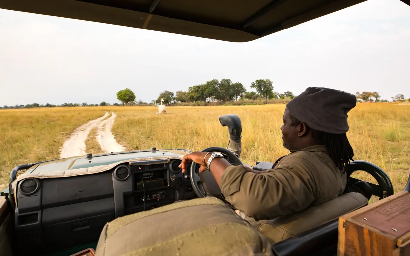 Open vehicle game drive across grassland savanna, Duba Explorers Camp, The Okavango Delta, Botswana