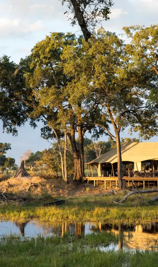 Safari lodge with canvas tents beside water and trees, Duba Explorers Camp, The Okavango Delta, Botswana