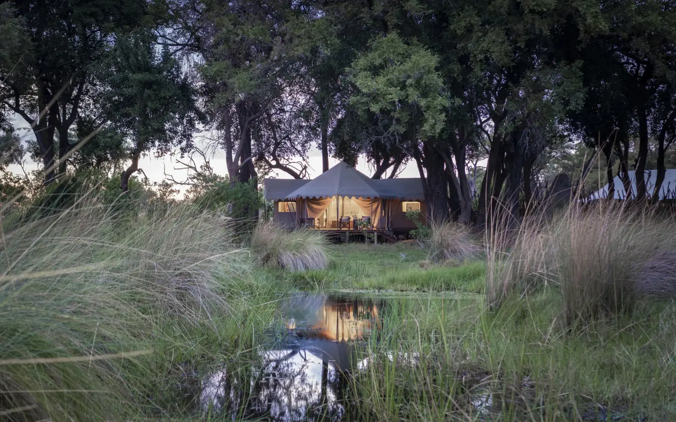 Illuminated safari tent reflected in waterhole at dusk, Duba Explorers Camp, The Okavango Delta, Botswana