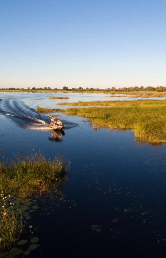 Motorboat navigating through wetland channels at sunrise, The Okavango Delta, Botswana