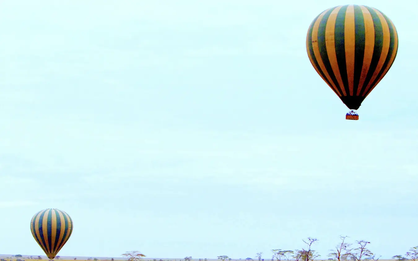 Hot air balloons floating over golden savanna landscape, Dunia Camp, Serengeti National Park, Tanzania