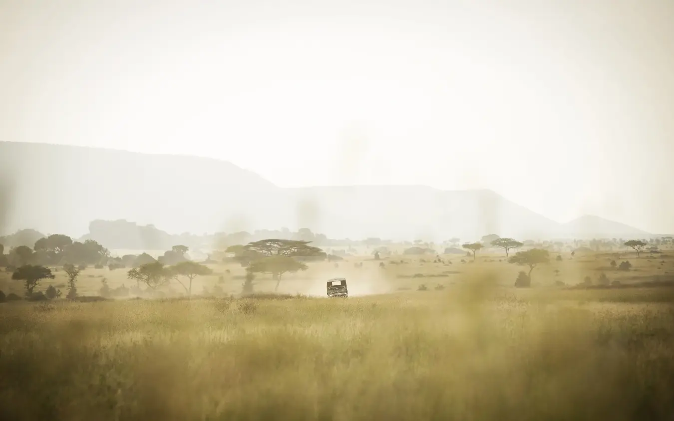 Safari vehicle driving through golden grassland with dust trail, Dunia Camp, Serengeti National Park, Tanzania