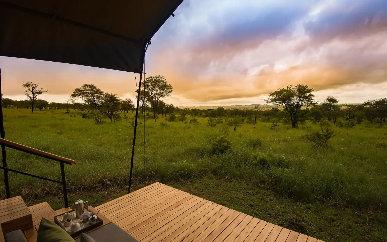 Wooden deck overlooking savanna grassland at sunset, Dunia Camp, Serengeti National Park, Tanzania