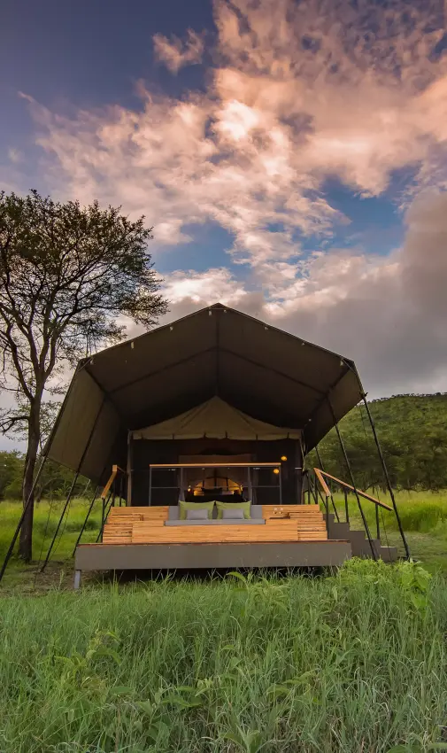 Canvas safari tent with wooden deck in grassland, Dunia Camp, Serengeti National Park, Tanzania