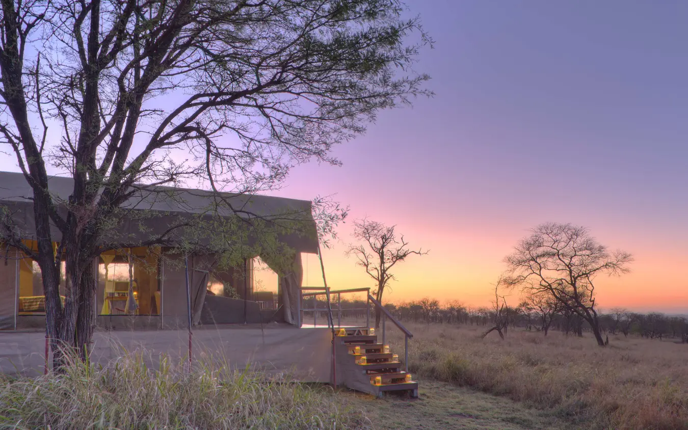 Modern lodge building at sunset with acacia trees, Dunia Camp, Serengeti National Park, Tanzania