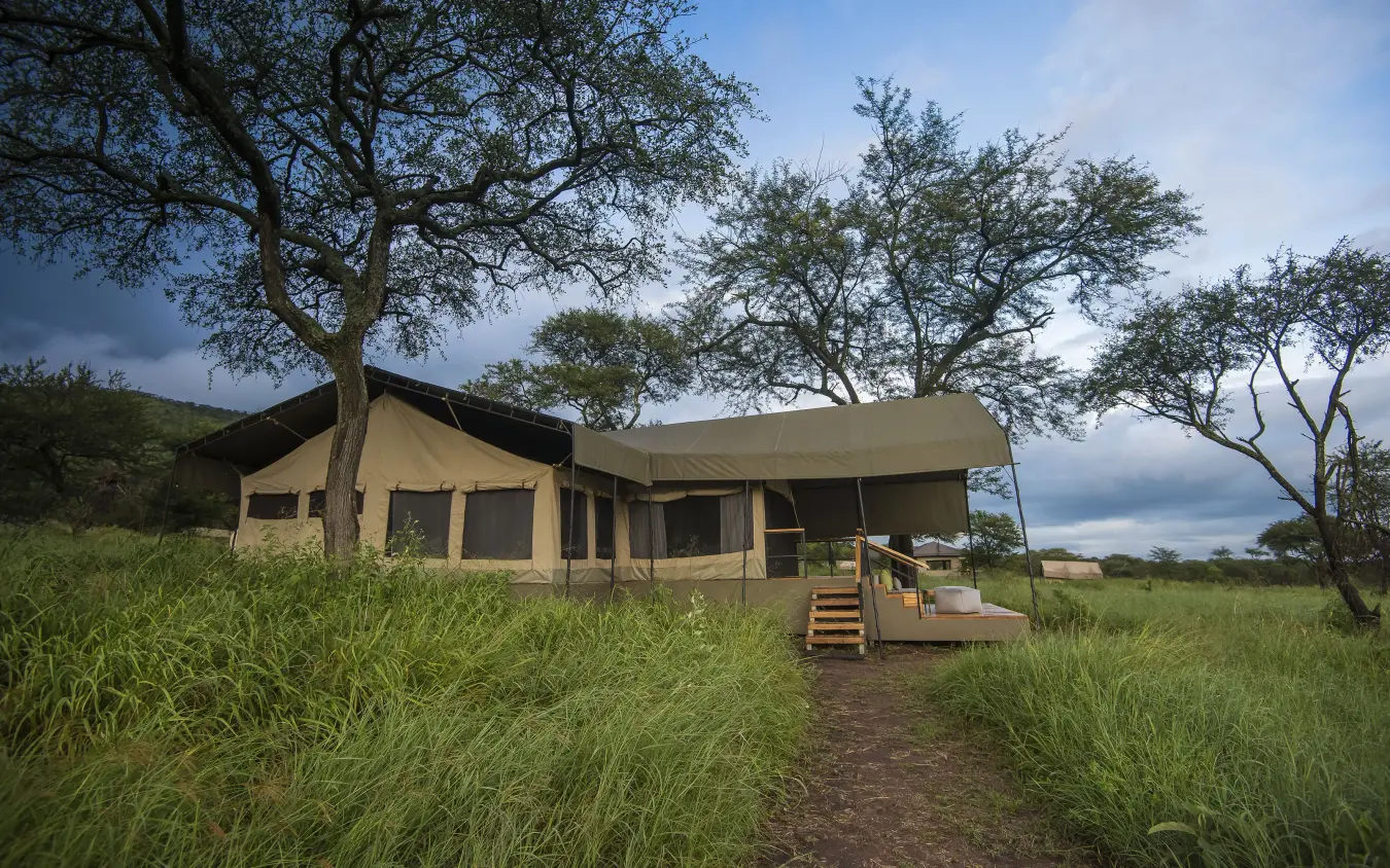 Canvas safari tent with wooden deck in grassland, Dunia Camp, Serengeti National Park, Tanzania