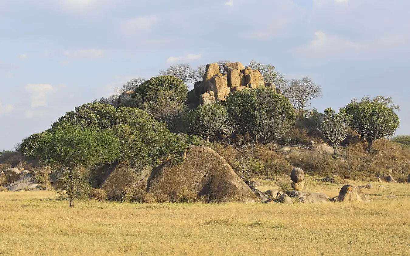 Granite rock outcrop with acacia trees in savanna grassland, Dunia Camp, Serengeti National Park, Tanzania