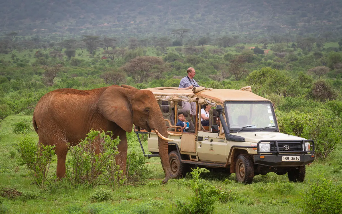 Safari vehicle with elephant encounter in acacia woodland savanna, Elephant Bedroom Camp, Samburu Reserve, Kenya