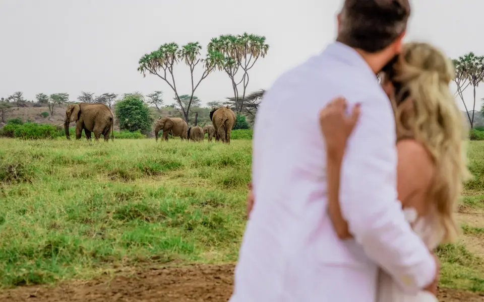 Couple observing elephant herd in grassland savanna from viewing point, Elephant Bedroom Camp, Samburu Reserve, Kenya