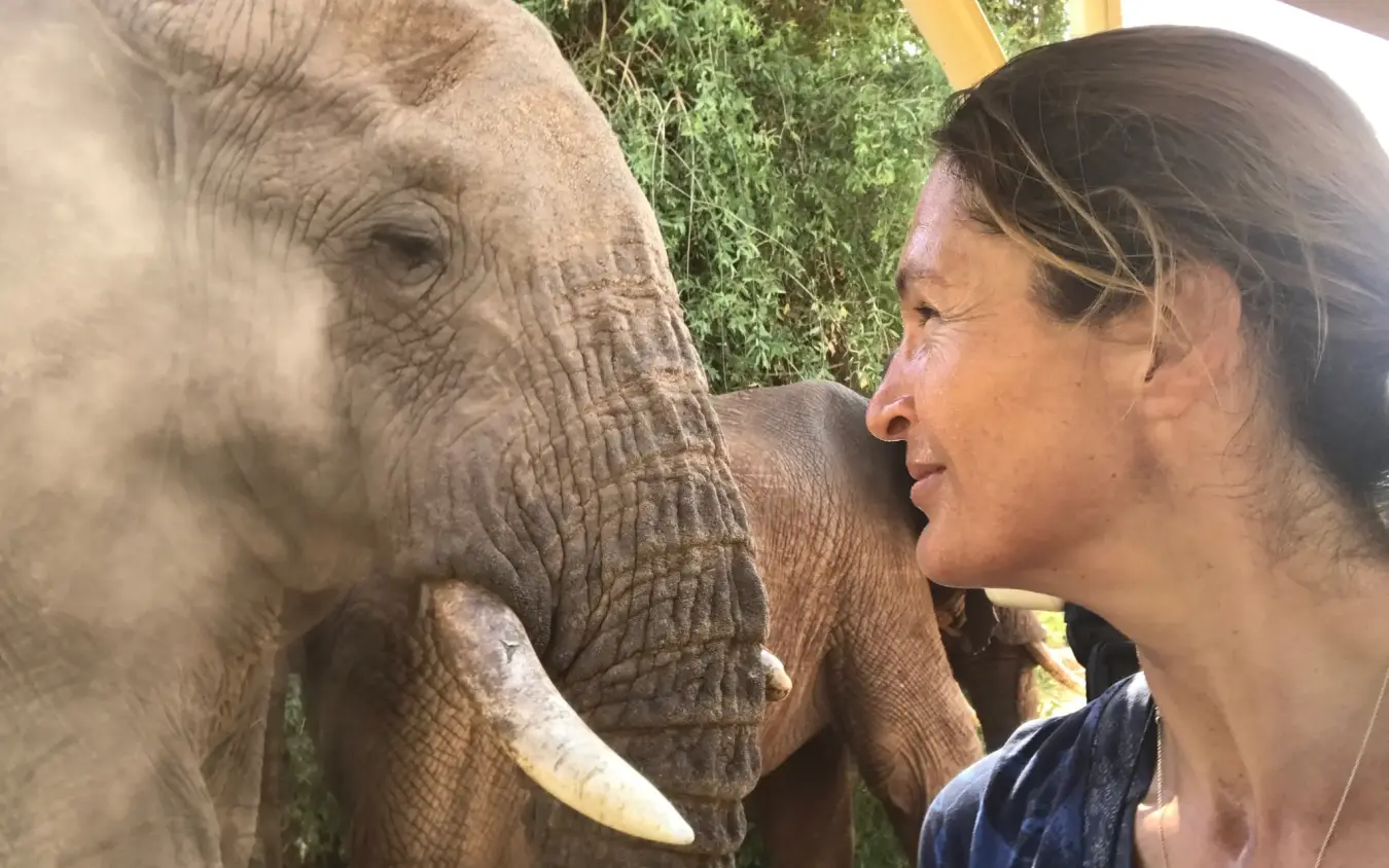 Woman interacting closely with African elephant, Elephant Watch Camp, Samburu Reserve, Kenya
