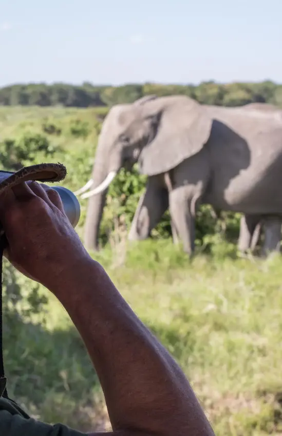 Guide observing elephants through binoculars from vehicle, Amboseli and Chyulu Hills, Kenya