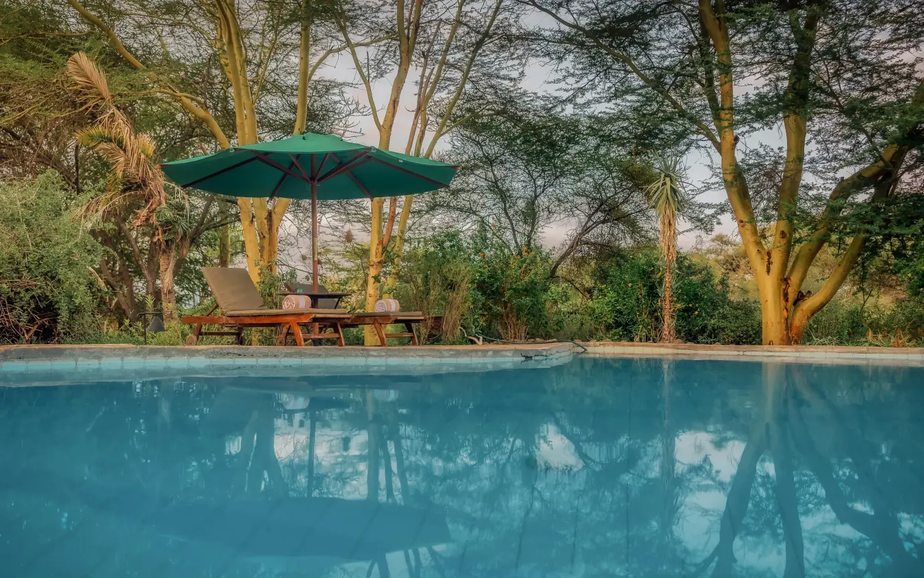 Swimming pool with green umbrella and picnic table surrounded by trees, Tortilis Camp, Amboseli and Chyulu Hills, Kenya
