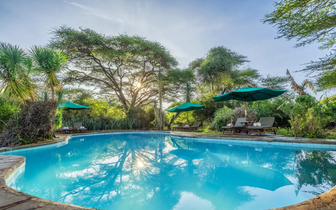 Resort swimming pool with turquoise water and shade umbrellas, Tortilis Camp, Amboseli and Chyulu Hills, Kenya