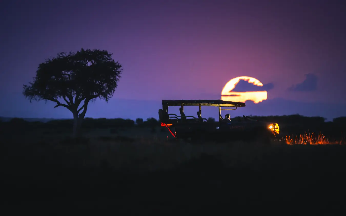 Safari vehicle at sunset with acacia tree silhouetted, Emboo Camp, Maasai Mara, Kenya