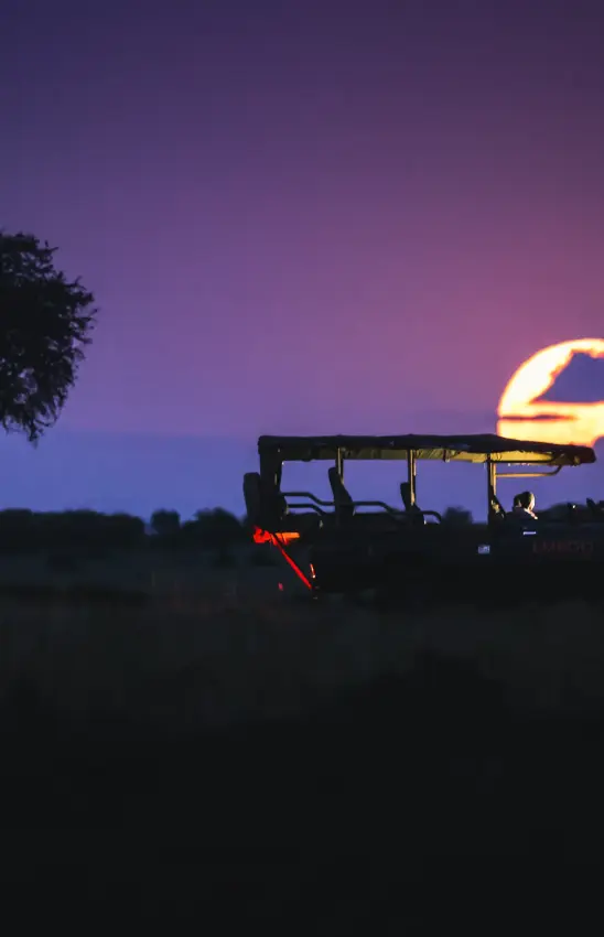 Safari vehicle at sunset with acacia tree silhouetted, Emboo Camp, Maasai Mara, Kenya