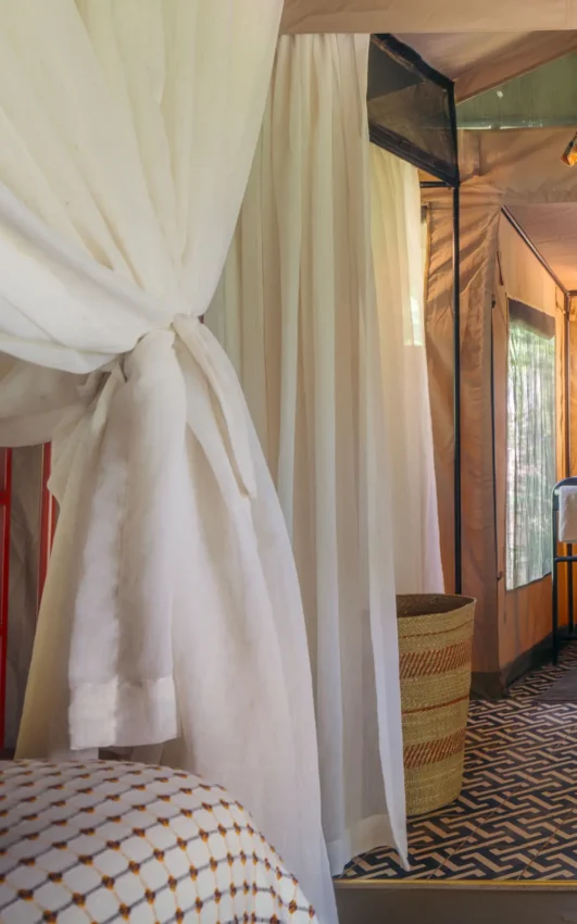 Interior view of bedroom with red shelving and flowing curtains, Emboo Camp, Maasai Mara, Kenya