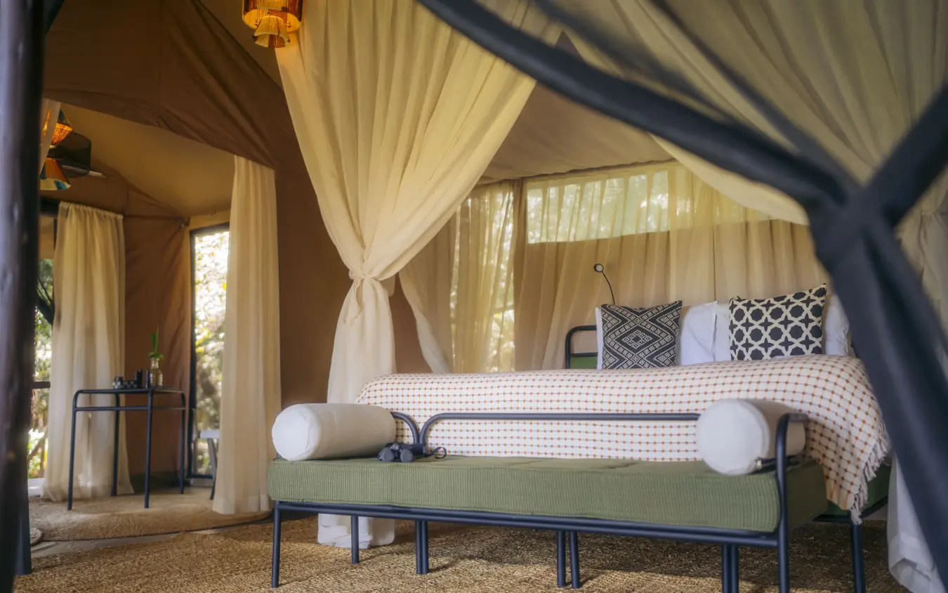Luxury canopy bed with draped cream curtains and patterned bedding, Emboo Camp, Maasai Mara, Kenya