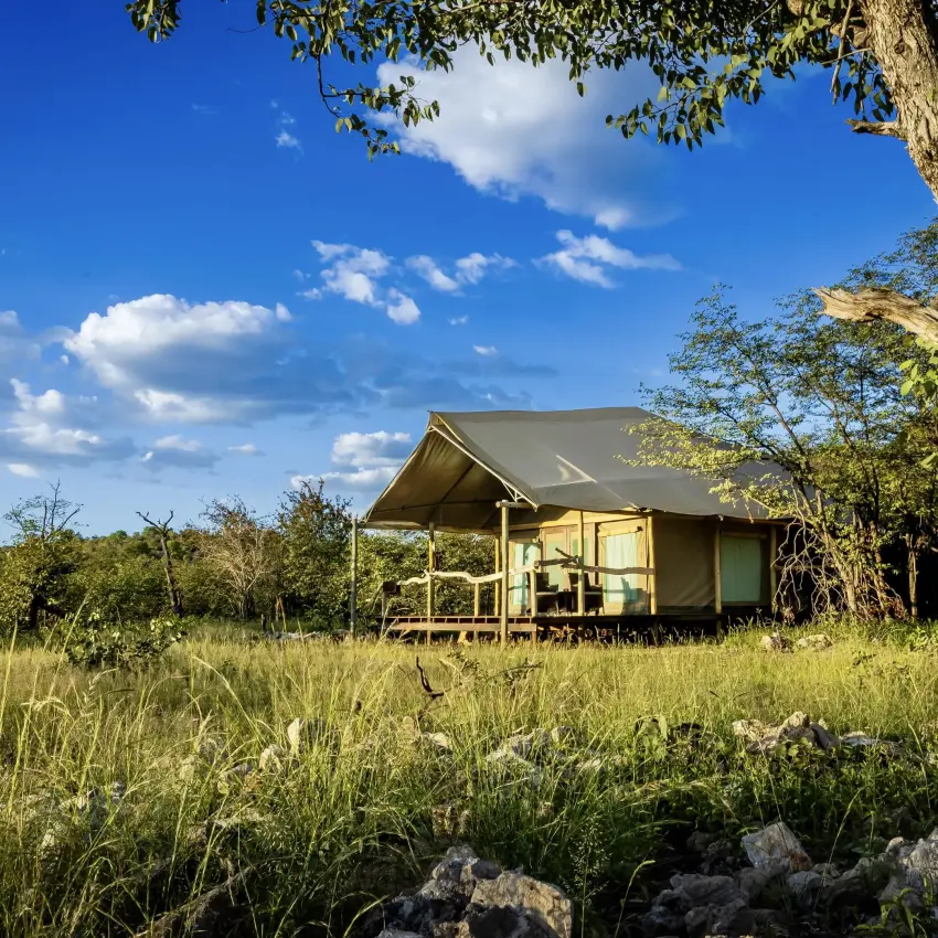 Canvas tent lodge with wooden deck in savanna landscape, Encounter by Ongava, Etosha National Park, Namibia