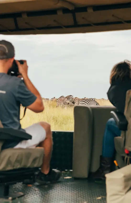 Guests photographing zebras from open safari vehicle, Encounter Mara Camp, Maasai Mara, Kenya