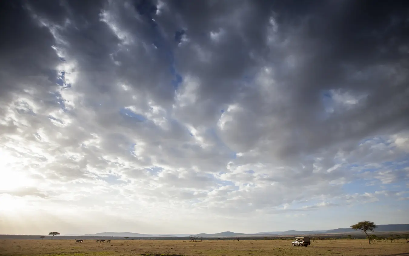 Safari vehicles and wildlife on vast grassland under dramatic sky, Encounter Mara Camp, Maasai Mara, Kenya