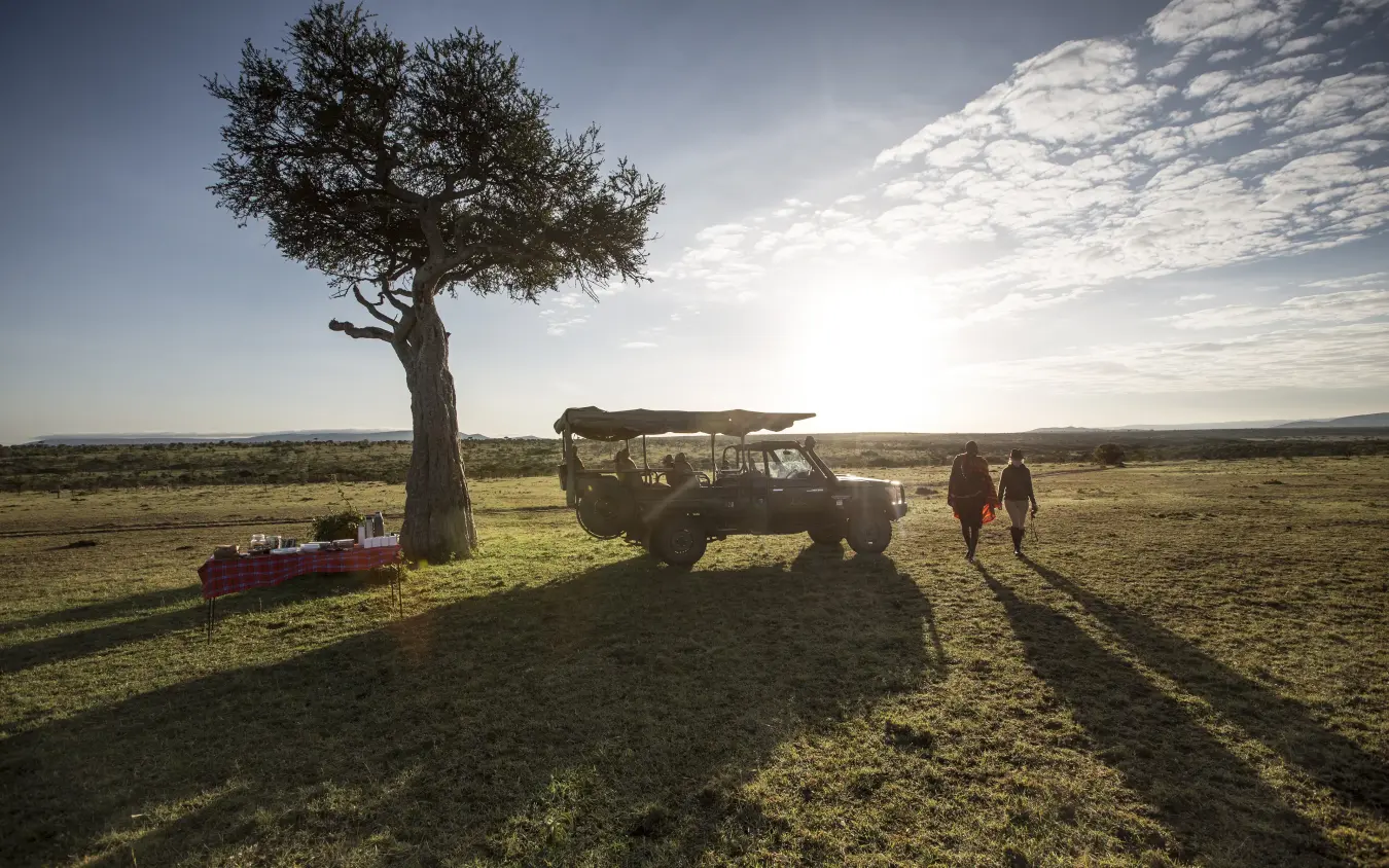 Safari vehicle stopped beneath acacia tree in savanna, Encounter Mara Camp, Maasai Mara, Kenya