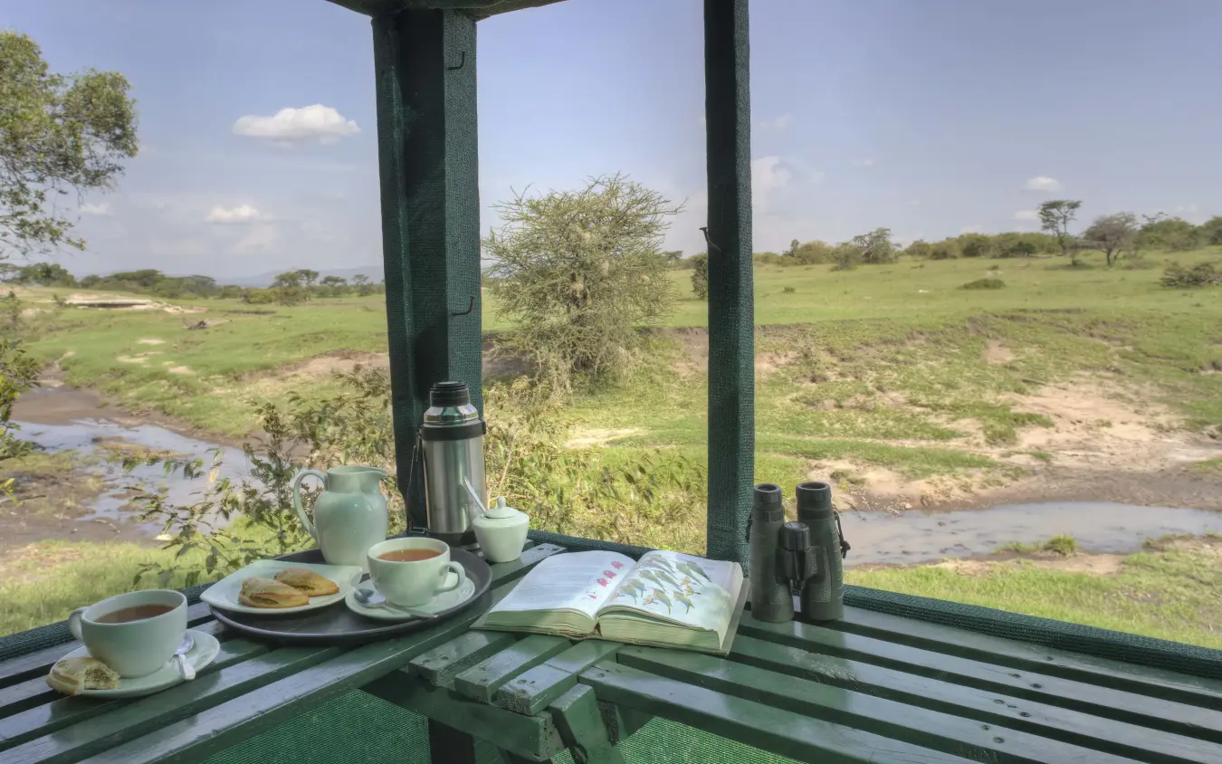 Morning tea on deck overlooking savanna landscape, Encounter Mara Camp, Maasai Mara, Kenya