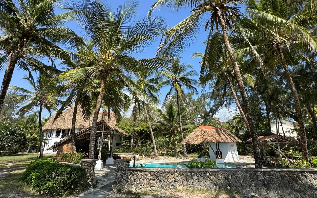 Thatched-roof lodge with palm trees and swimming pool in tropical garden, Enkare Bofa, Kilifi, Kenya