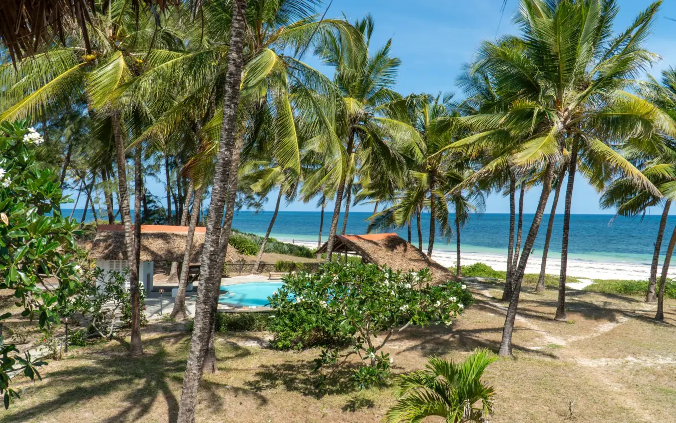 Beachfront pool nestled among palm trees overlooking turquoise ocean, Enkare Bofa, Kilifi, Kenya