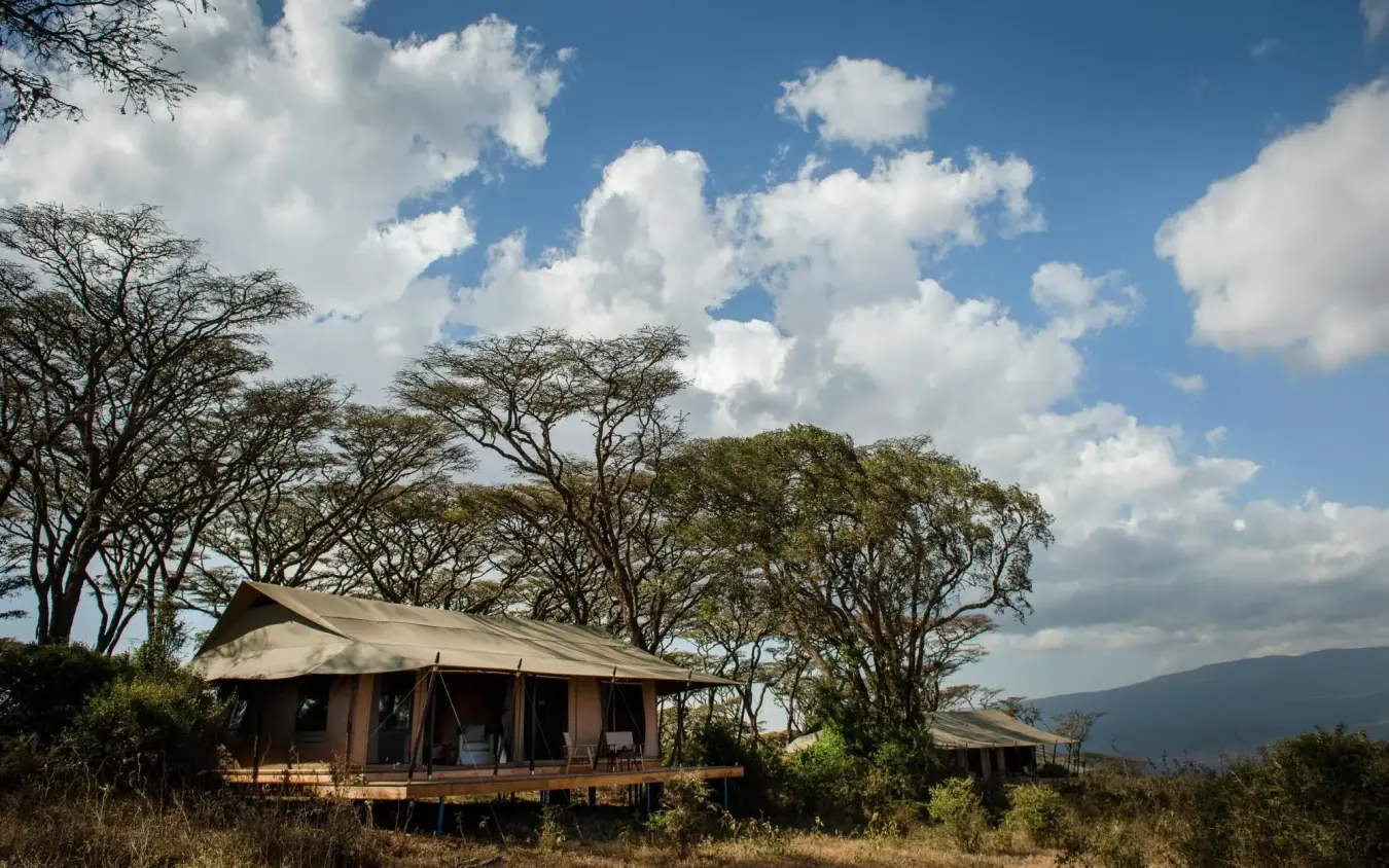Luxury safari tent camp with acacia trees under cloudy sky, Entamanu Camp, Ngorongoro Crater, Tanzania