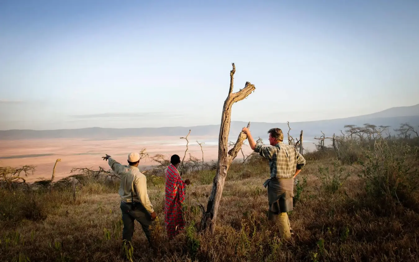 Group of guests on guided nature walk in grassland with valley vista, Entamanu Camp, Ngorongoro Crater, Tanzania