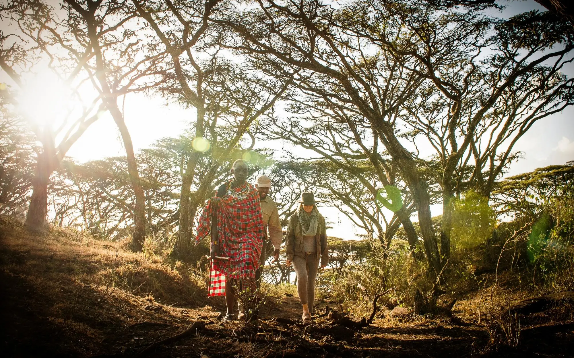 Guests walking with guide through acacia woodland at sunrise, Entamanu Camp, Ngorongoro Crater, Tanzania