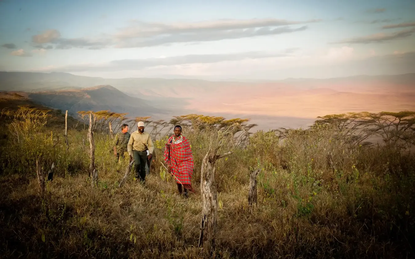 Local guides walking through acacia woodland at sunset, Entamanu Camp, Ngorongoro Crater, Tanzania