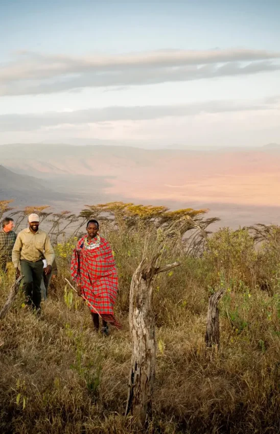 Local guides walking through acacia woodland at sunset, Entamanu Camp, Ngorongoro Crater, Tanzania
