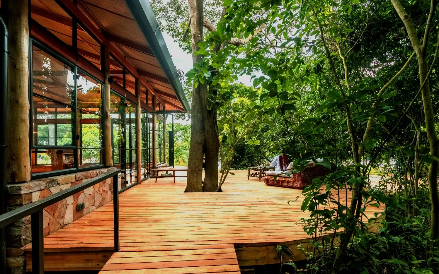Wooden deck pathway through forest with lodge building, Entebbe Forest Lodge, Entebbe and Kampala, Uganda