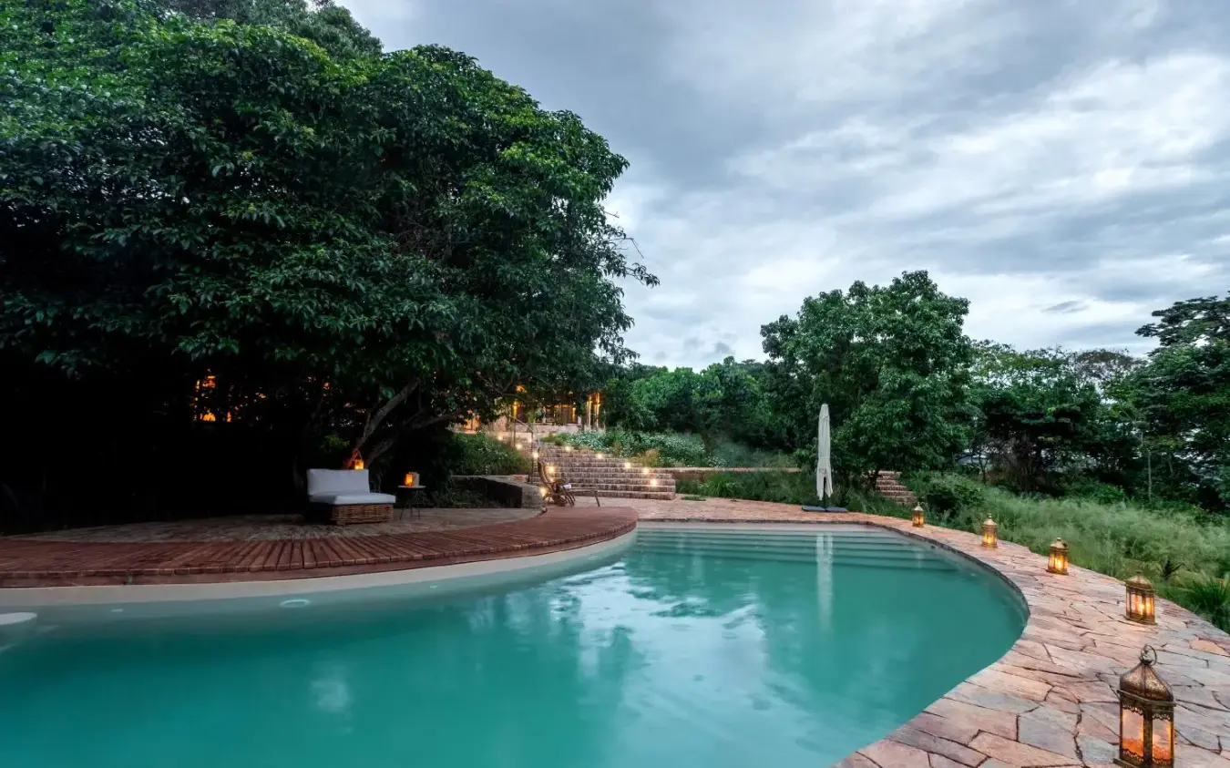 Curved swimming pool at dusk with surrounding forest, Entebbe Forest Lodge, Entebbe and Kampala, Uganda