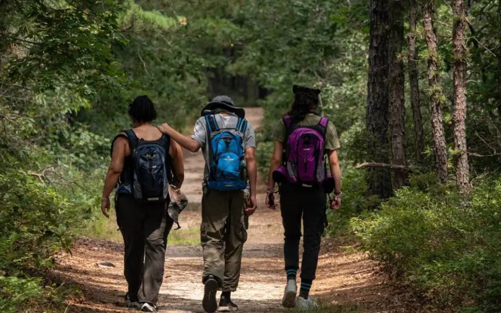 Three hikers walking on forest trail through dense vegetation, Entebbe Forest Lodge, Entebbe and Kampala, Uganda