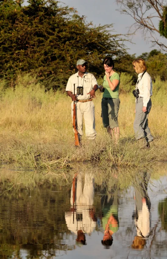 Walking safari group stops at waterside during guided nature walk, The Okavango Delta, Botswana