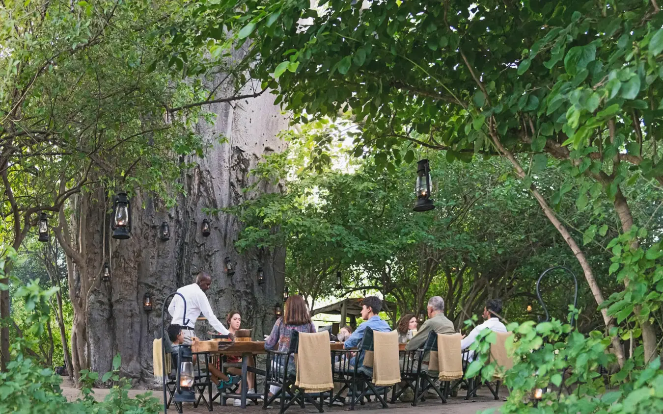 Outdoor dining setup under large trees with guests seated, Forest Chem Chem, Lake Manyara, Tanzania