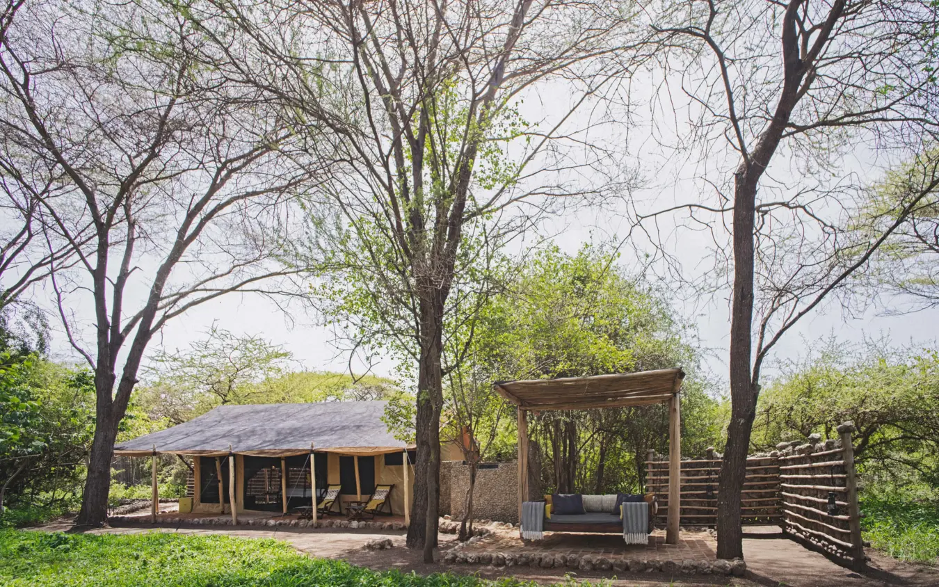 Wooden lodge building with wide veranda among tall trees, Forest Chem Chem, Lake Manyara, Tanzania