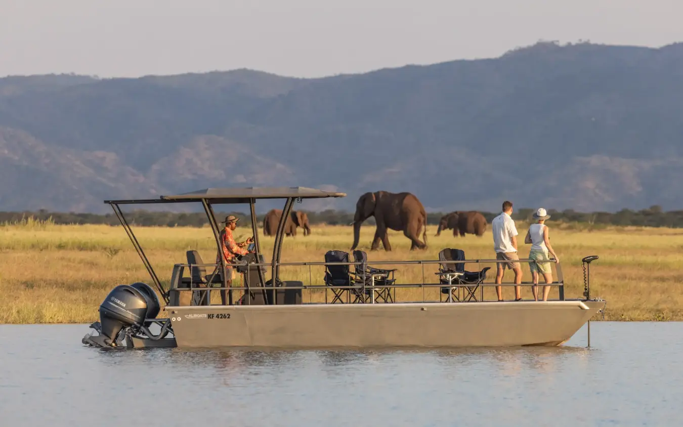 Tourists on floating safari boat watching elephants at waterhole, Fothergill Island, Matusadona National Park, Zimbabwe