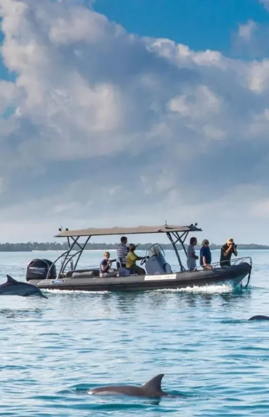 Guests on boat observing dolphins in shallow water, Fundu Lagoon, Zanzibar & Pemba, Tanzania