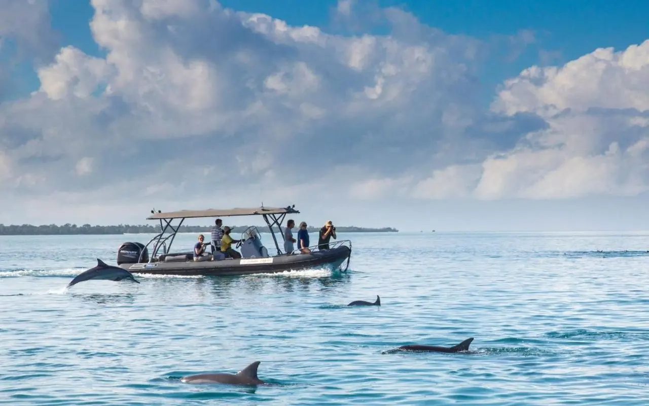 Guests on boat observing dolphins in shallow water, Fundu Lagoon, Zanzibar & Pemba, Tanzania