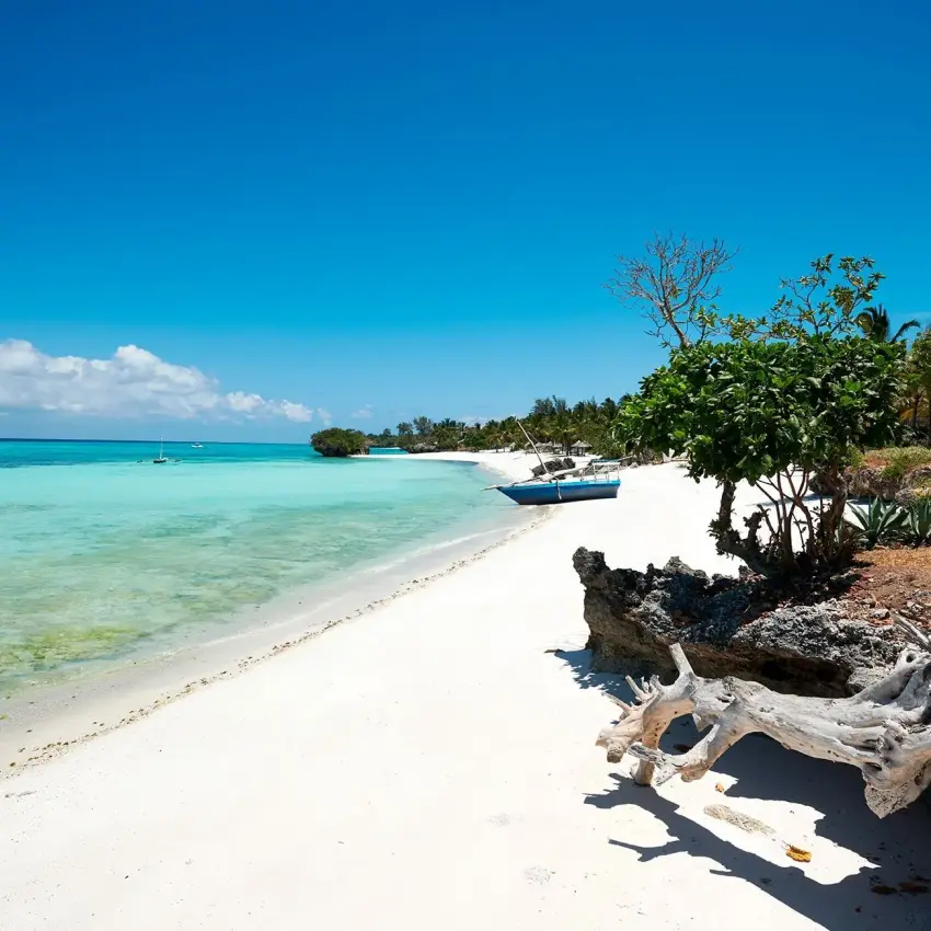 White sand beach with turquoise water and driftwood, Fundu Lagoon, Zanzibar & Pemba, Tanzania