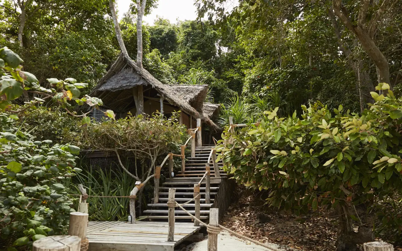 Thatched bungalow with wooden boardwalk through lush forest, Fundu Lagoon, Zanzibar & Pemba, Tanzania